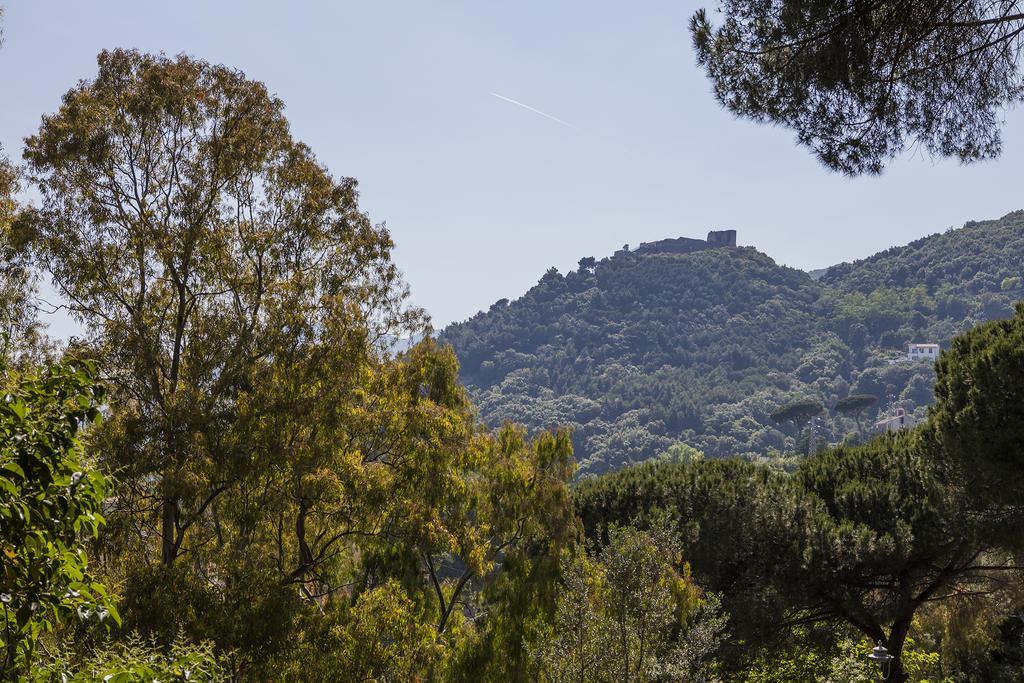 B&B La Contessa Salerno Luaran gambar